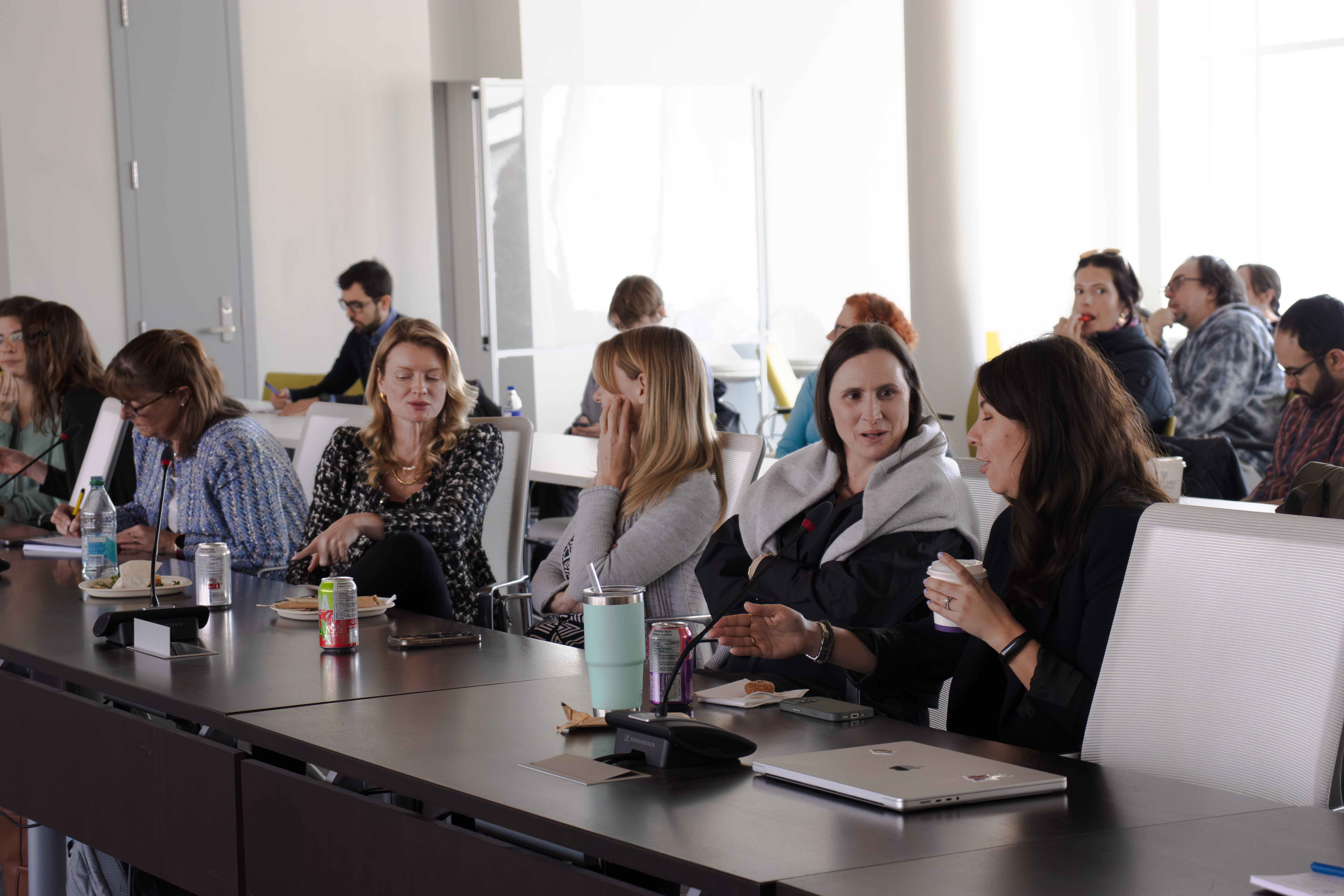 Faculty and Trainees networking