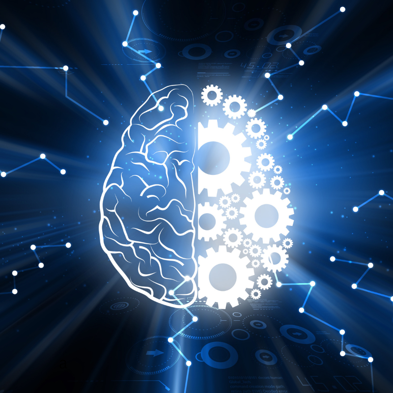 Photo of two blue brains