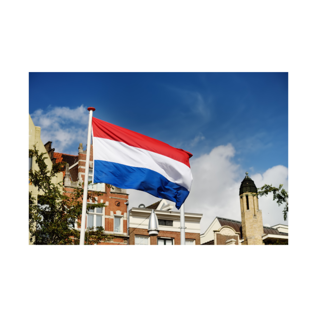 Photo of the Dutch flag